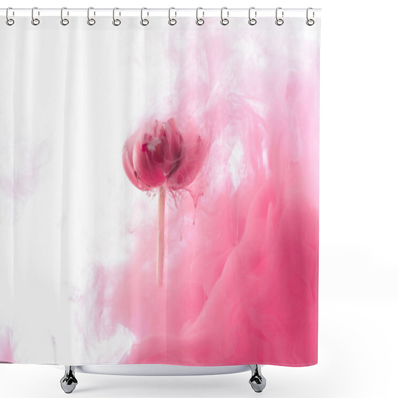 Personality  Close Up View Of Pink Flower And Paint Splash Isolated On White Shower Curtains