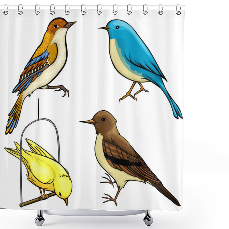 Personality  Pack Of Four Vector Cartoon Birds Shower Curtains