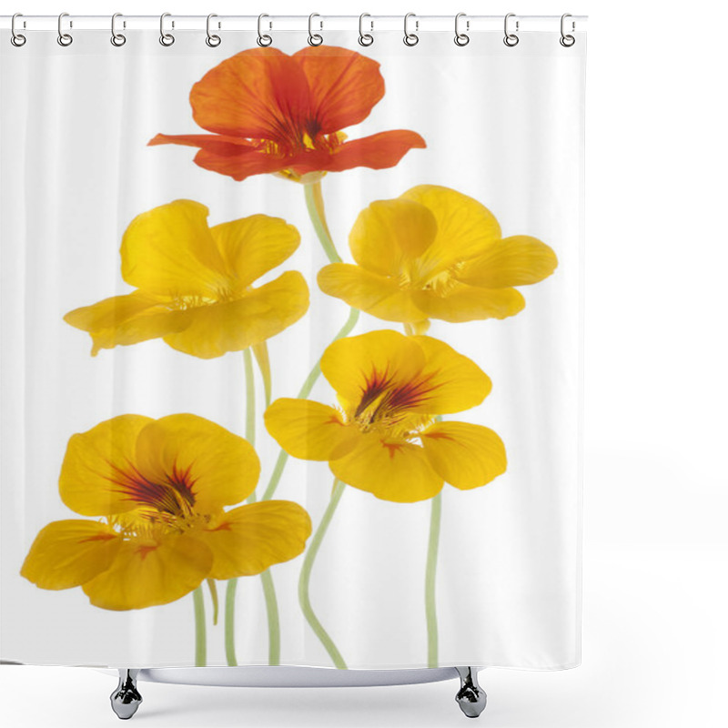 Personality  Nasturtium Shower Curtains