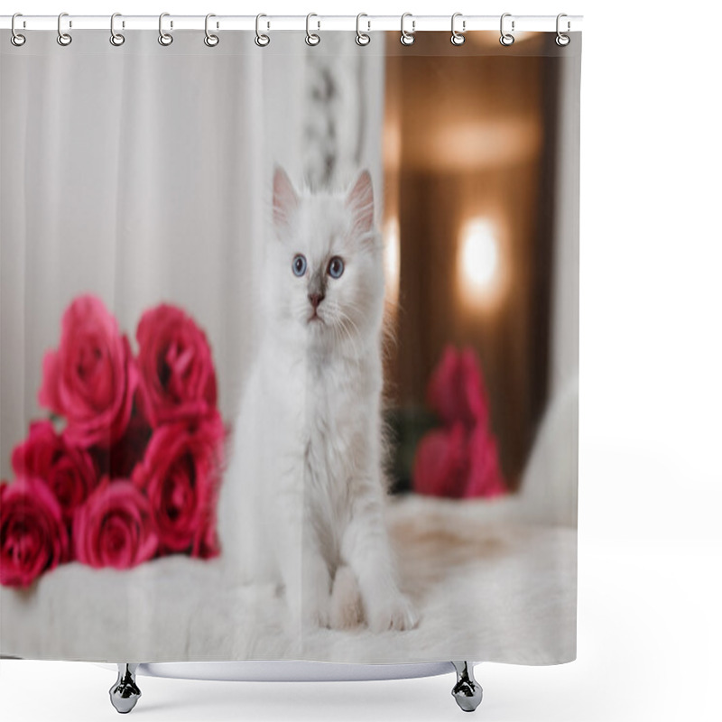 Personality  Ragdoll Blue Point Little Kitten  Shower Curtains