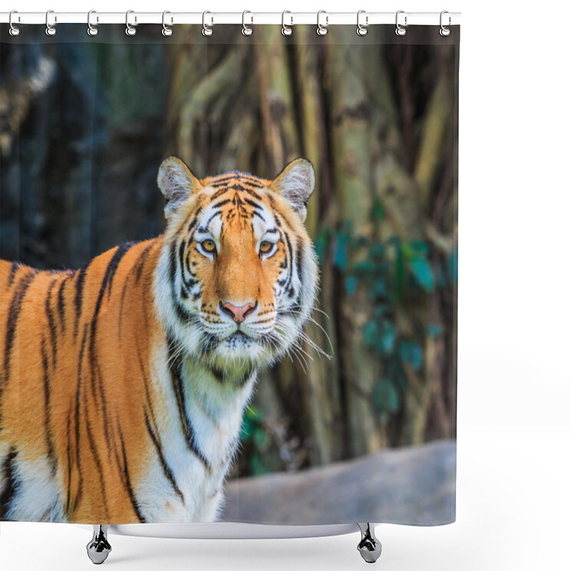 Personality  Wild Tiger Animal Shower Curtains