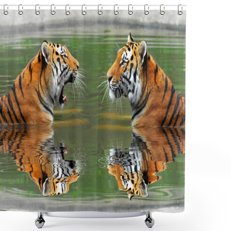 Personality  Siberian Tigers Shower Curtains