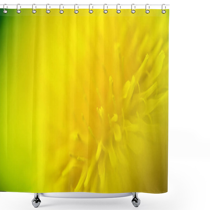 Personality  Dandelion Macro Photo - Close Up Nature Flower Shower Curtains