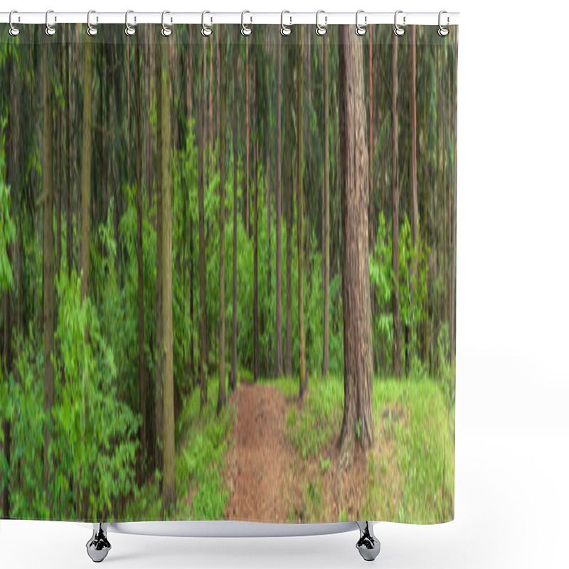 Personality  Forest Landscape. Panoramic View Of The Beautiful Spring Forest Shower Curtains