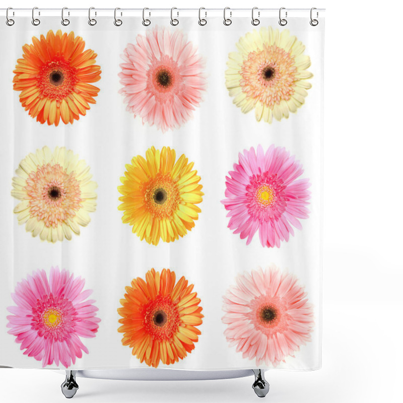 Personality  Different Colour Gerberas Shower Curtains