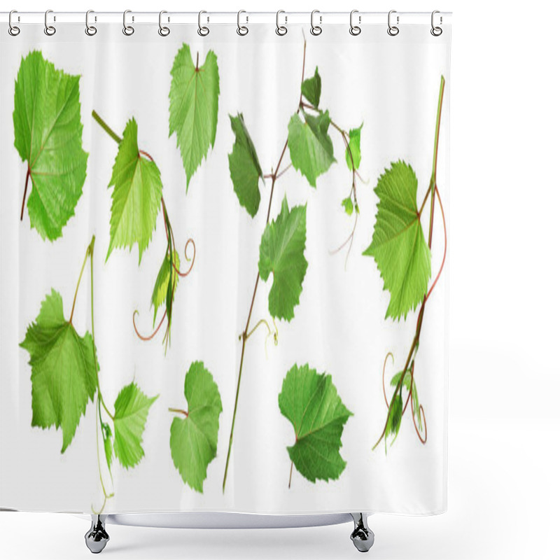 Personality  Set Of Grapevines With Green Leaves On White Background. Banner Design  Shower Curtains