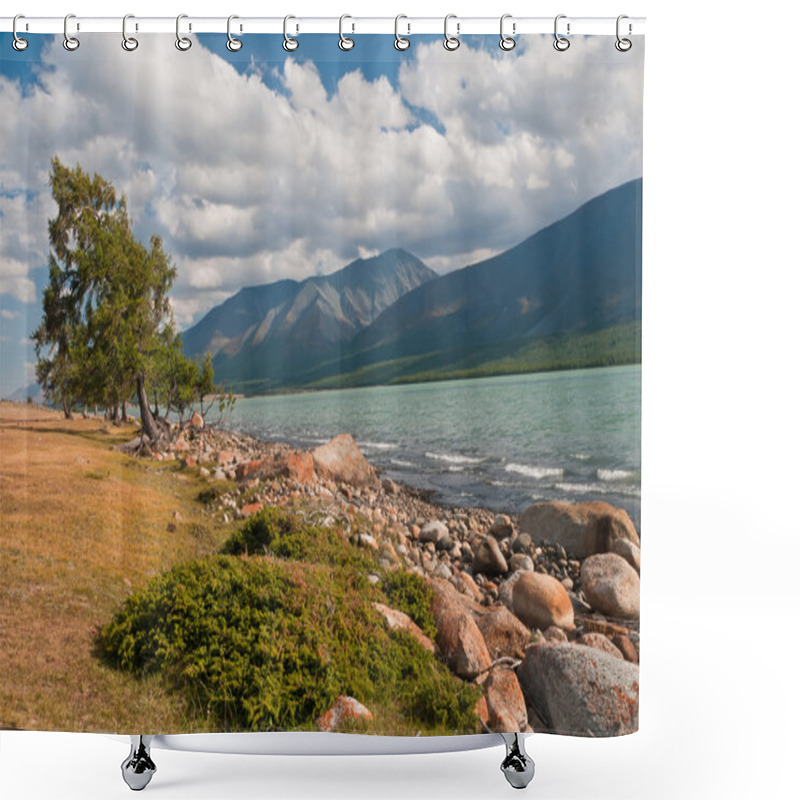 Personality  Tree On The Shore Of High Mountain Lake Shower Curtains