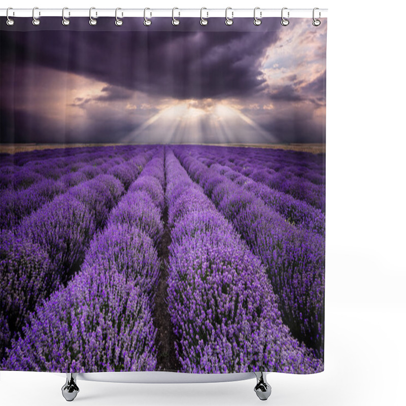 Personality  Rays Over Lavender Field Shower Curtains