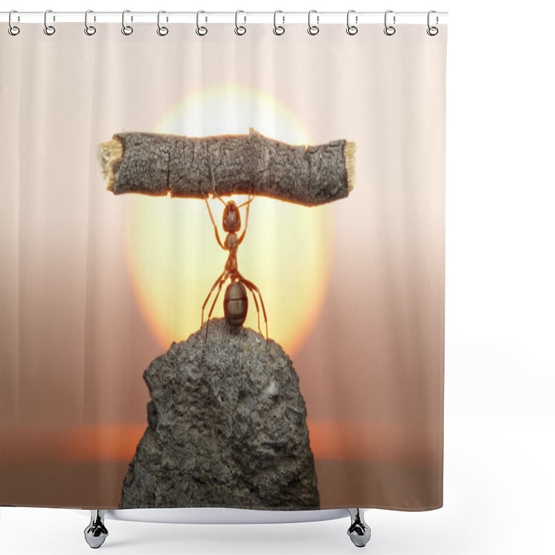 Personality  Statue Of Labour, Ants Civilization Shower Curtains