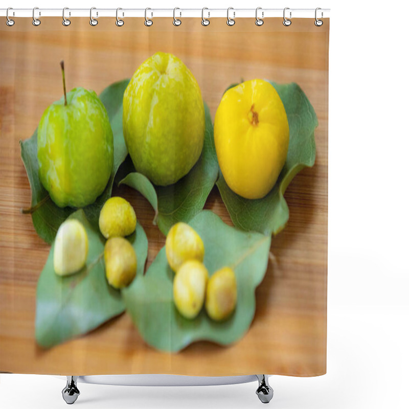 Personality  Ripe Edible Wild Fruit From The Brazilian Cerrado Biome, Fruit Known As Cagaita (Stenocalyx Dysentericus) Of The Magnoliopsida Class And The Myrtaceae Family. Shower Curtains