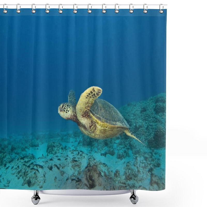 Personality  Tropical Reef Underwater Shower Curtains