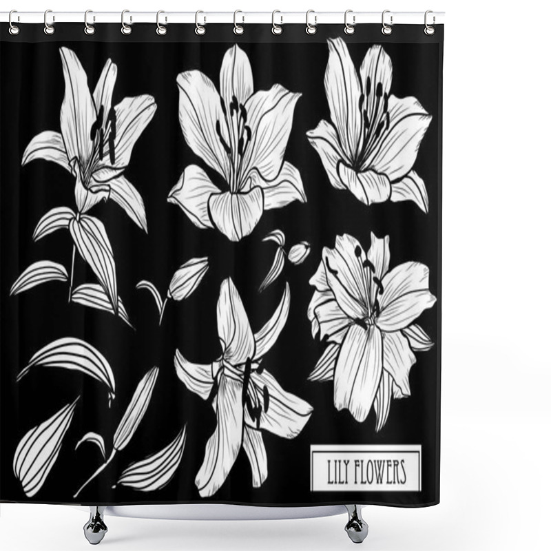 Personality  Decorative Lily Flowers Set, Design Elements. Can Be Used For Cards, Invitations, Banners, Posters, Print Design. Floral Background In Line Art Style Shower Curtains