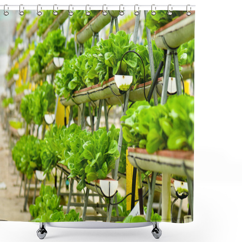 Personality  Urban Farming Technology Shower Curtains