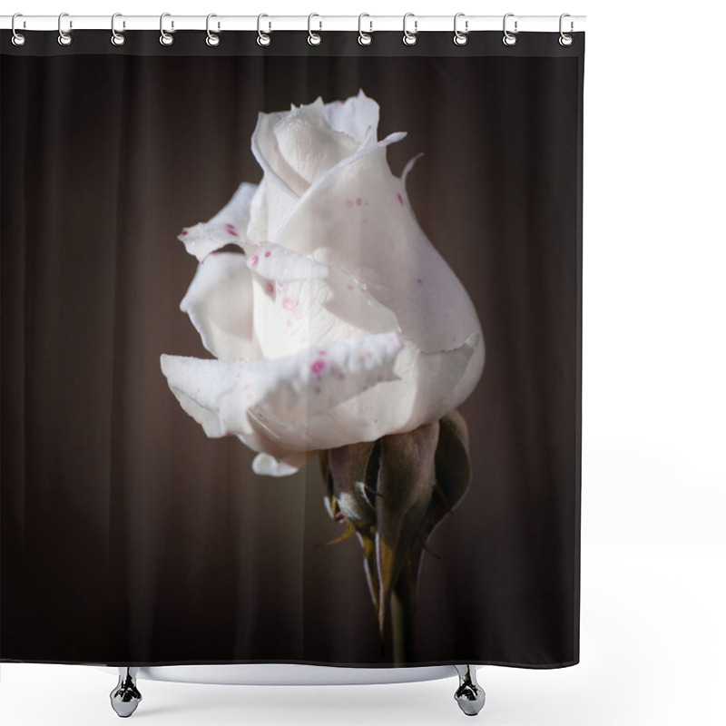 Personality  White Rose Shower Curtains