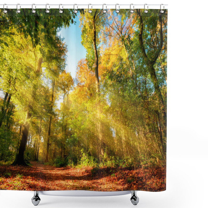 Personality  Colorful Autumn Forest Landscape With Warm Sun Rays Illumining The Foliage And A Path Leading Through The Trees Shower Curtains