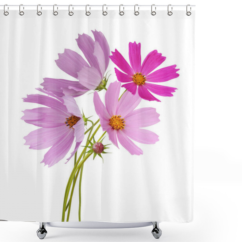 Personality  Cosmos Flowers Isolated On A White Background.  Shower Curtains