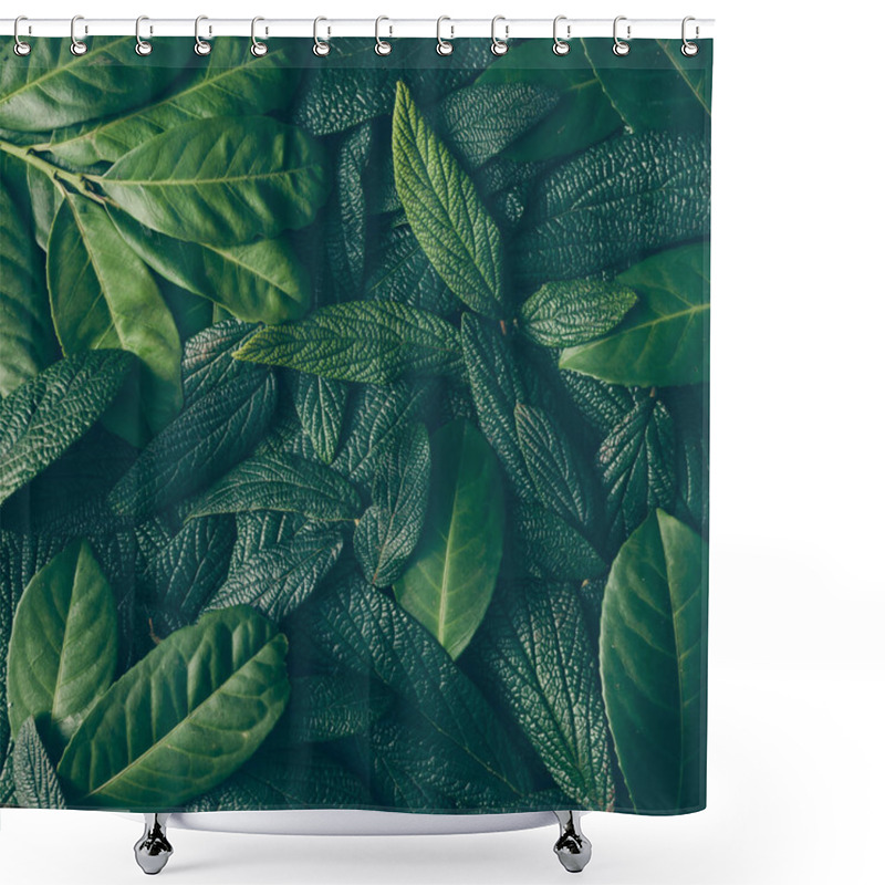 Personality  Creative Layout Made Of Green Leaves Shower Curtains