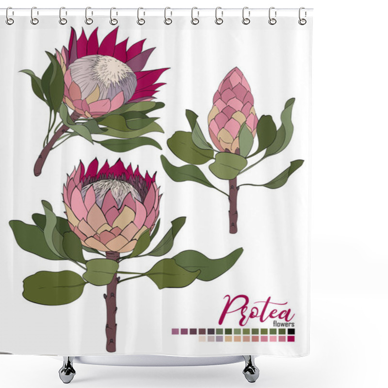 Personality  Vector Floral Bouquet Design:blossom Protea Flowers And Leaves. Wedding Vector Invite Card Shower Curtains