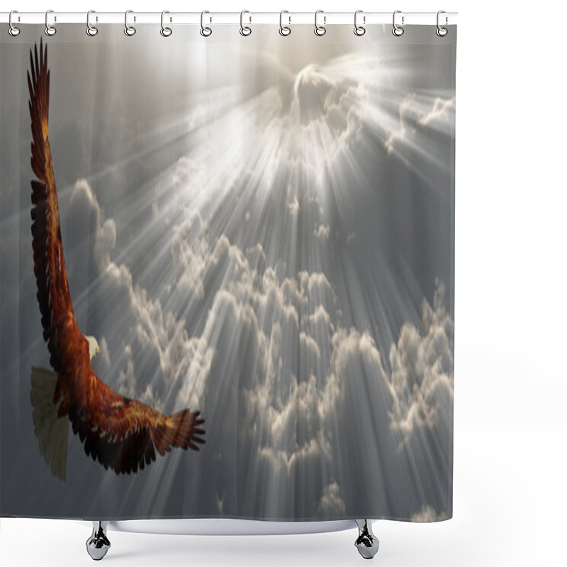 Personality  Eagle In Flight Above Tyhe Clouds Shower Curtains