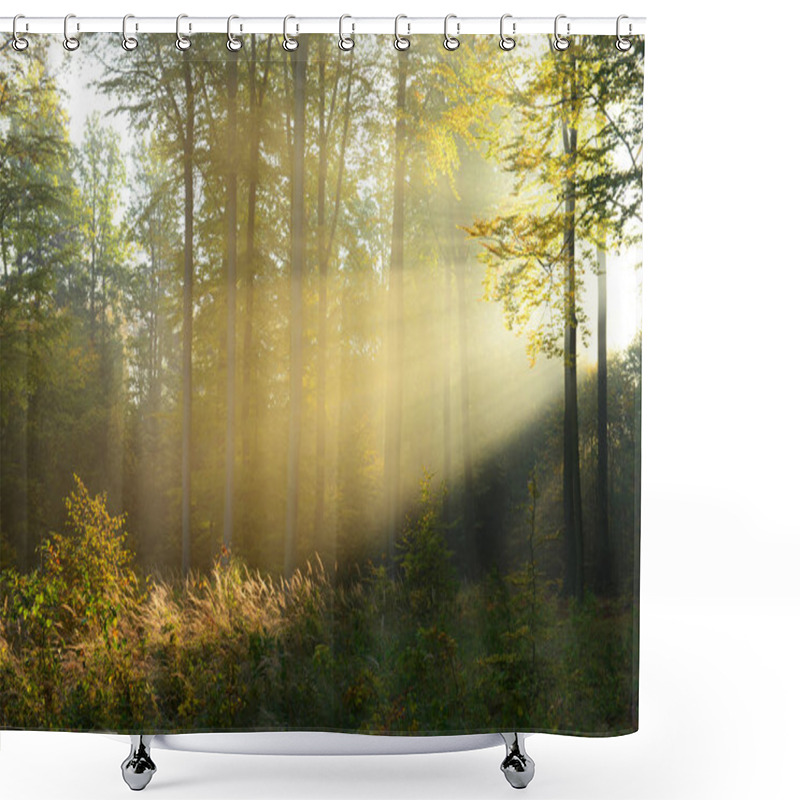 Personality  Beautiful Morning Sunbeams In Misty Forest Shower Curtains