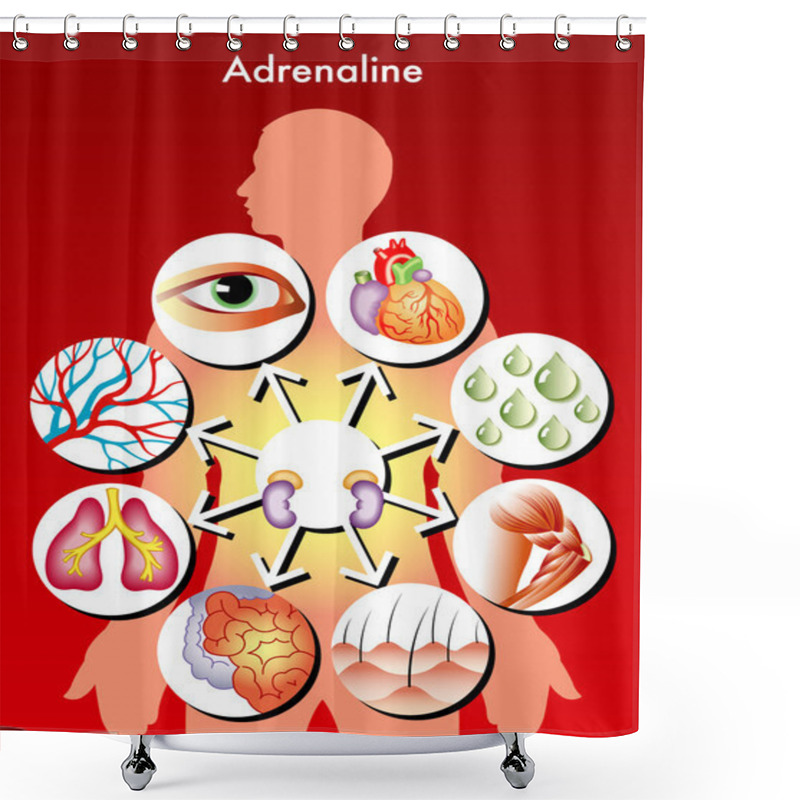 Personality  Adrenaline Shower Curtains