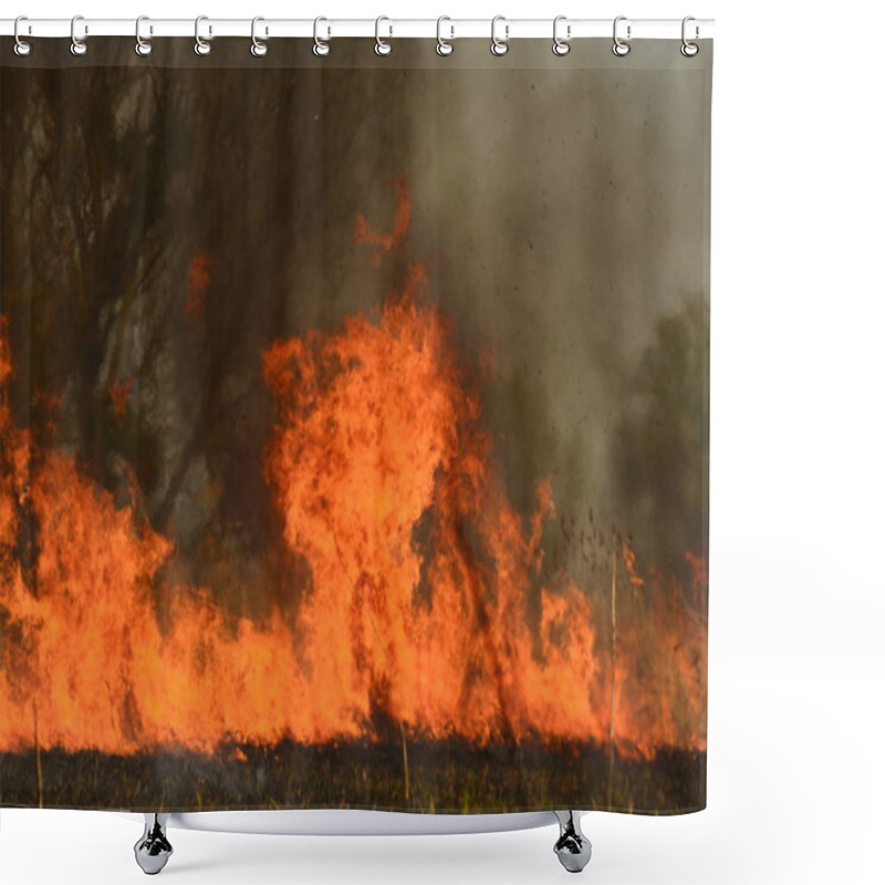 Personality  Coastal Zone Of Marsh Creek, Strong Smoke From Fire Of Liana Overgrowth. Spring Fires Of Dry Reeds Dangerously Approach Houses Of Village By River Cleaning Fields Of Reeds, Dry Grass. Natural Disaster Shower Curtains