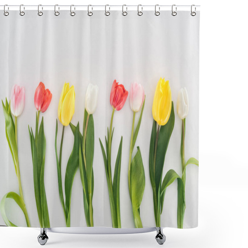 Personality  Top View Of Yellow, Red, Pink And White Tulip Flowers Isolated On Grey Shower Curtains