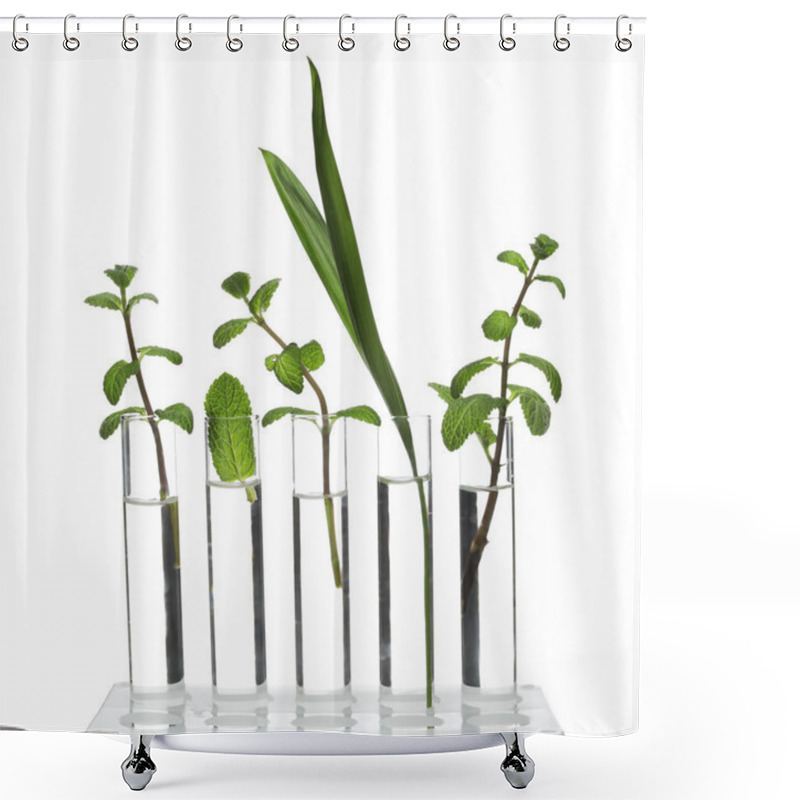 Personality  Rack With Plants In Test Tubes Isolated On White. Organic Chemistry Shower Curtains