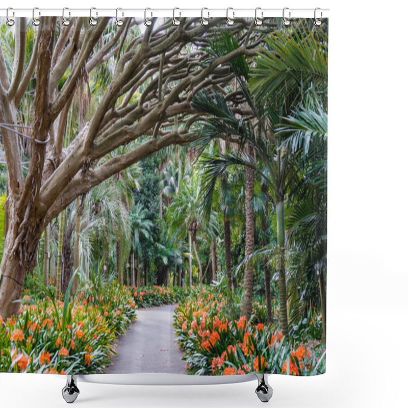 Personality  Botanic Gardens Alley Shower Curtains