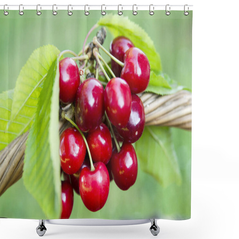 Personality  Cherry On The Branch Of The Bush Shower Curtains