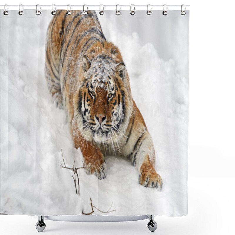 Personality  Amur Tiger Shower Curtains