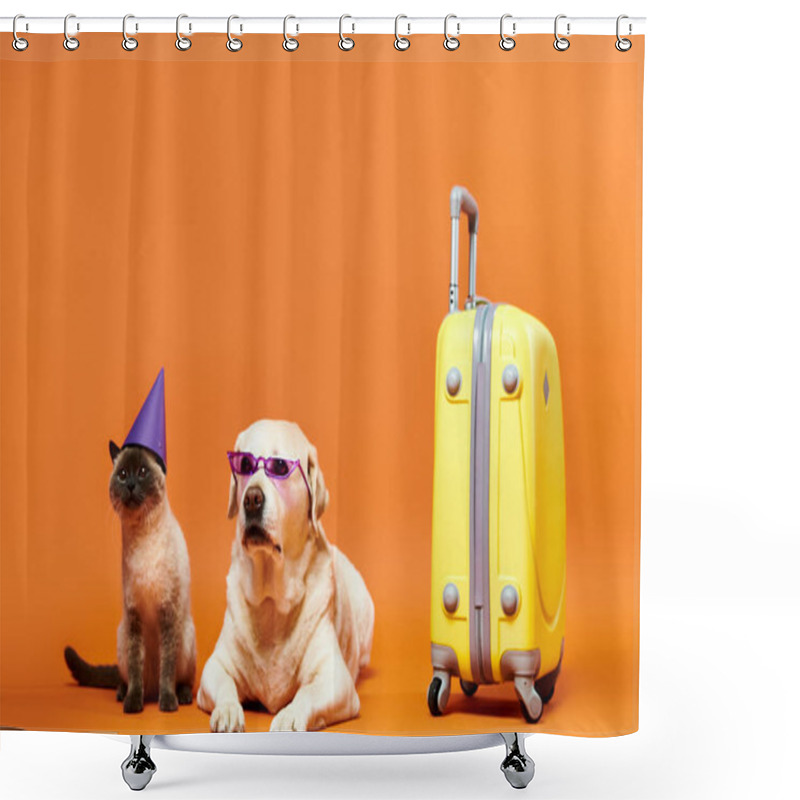 Personality  A Dog And A Cat Don Party Hats And Sunglasses In A Playful Studio Setting, Showcasing The Bond Between Domestic Animals. Shower Curtains