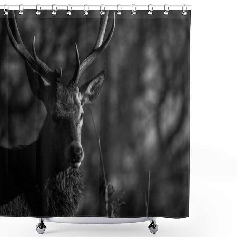 Personality  Beautiful Red Deer Shower Curtains