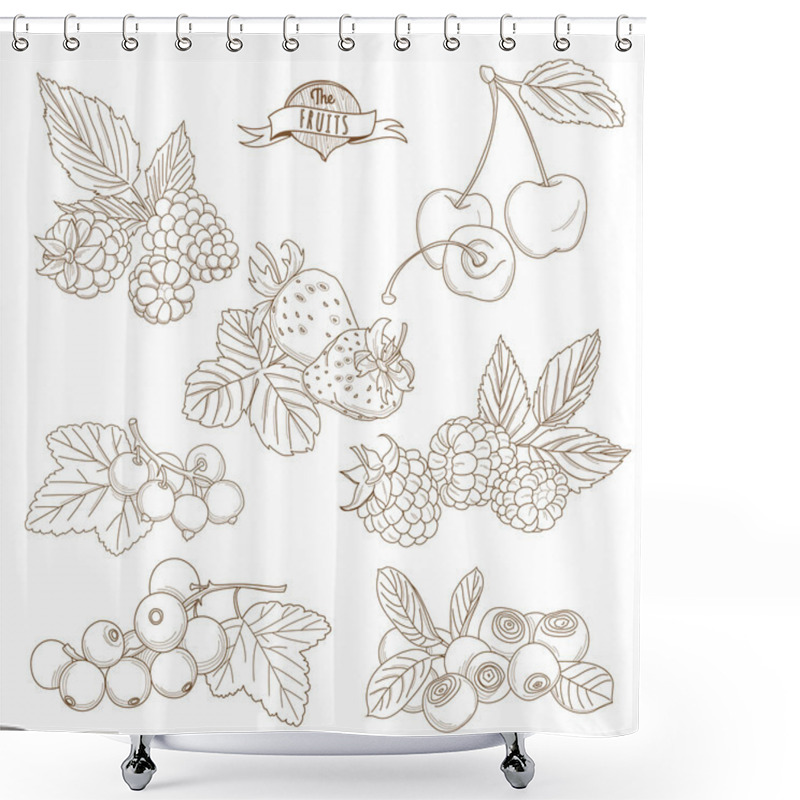 Personality  Set Of Outline Hand Drawn Berries ( Blackberry, Cherry, Strawber Shower Curtains