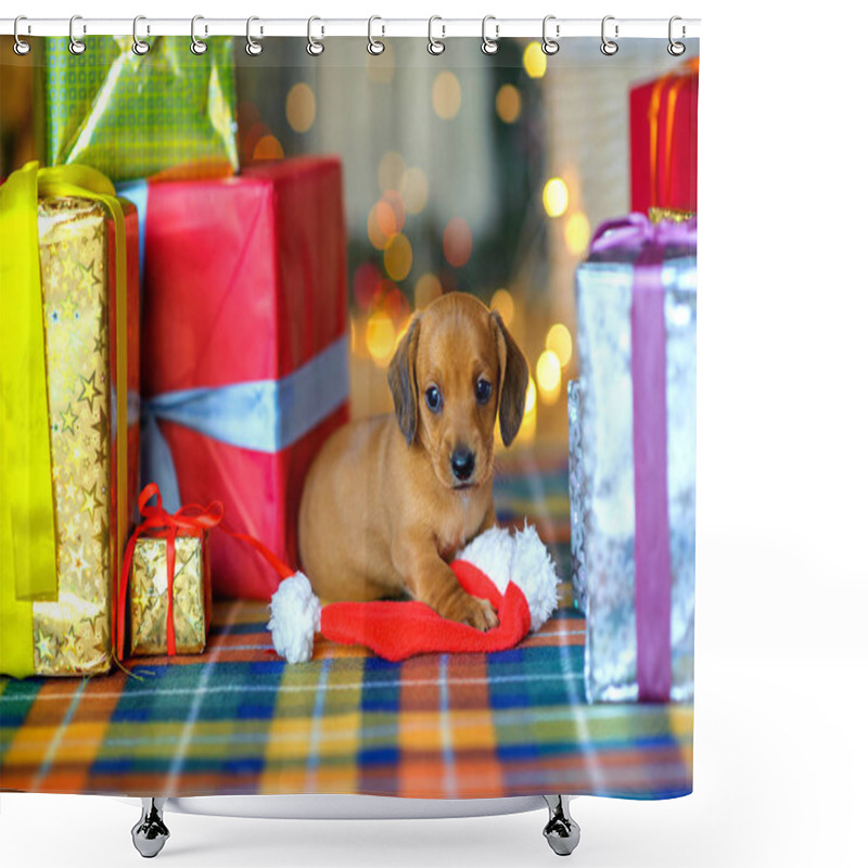 Personality  2018 Year Of The Dog Shower Curtains