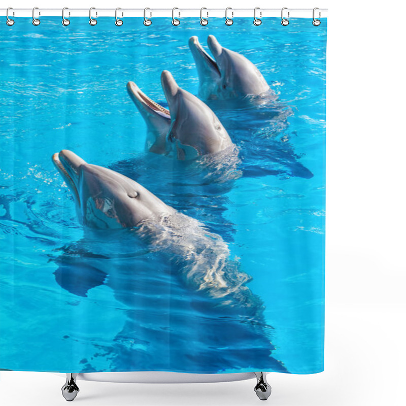 Personality  Dolphins At The Miami Seaquarium Shower Curtains