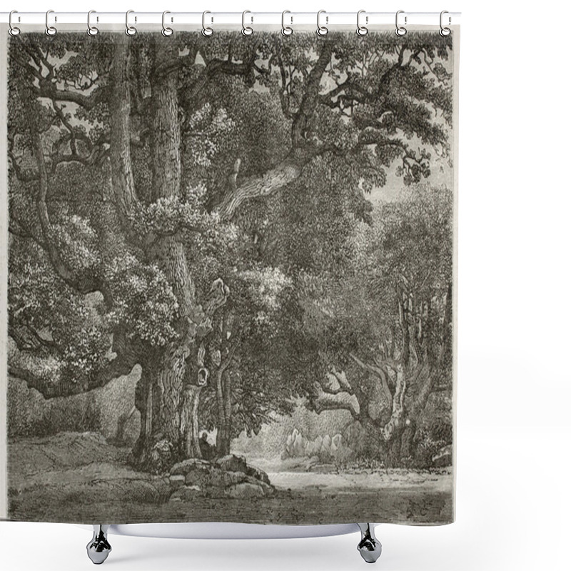 Personality  Big Oak Shower Curtains