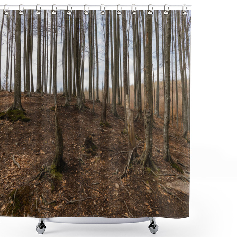 Personality  Forest On Mountain Hill In Autumn  Shower Curtains