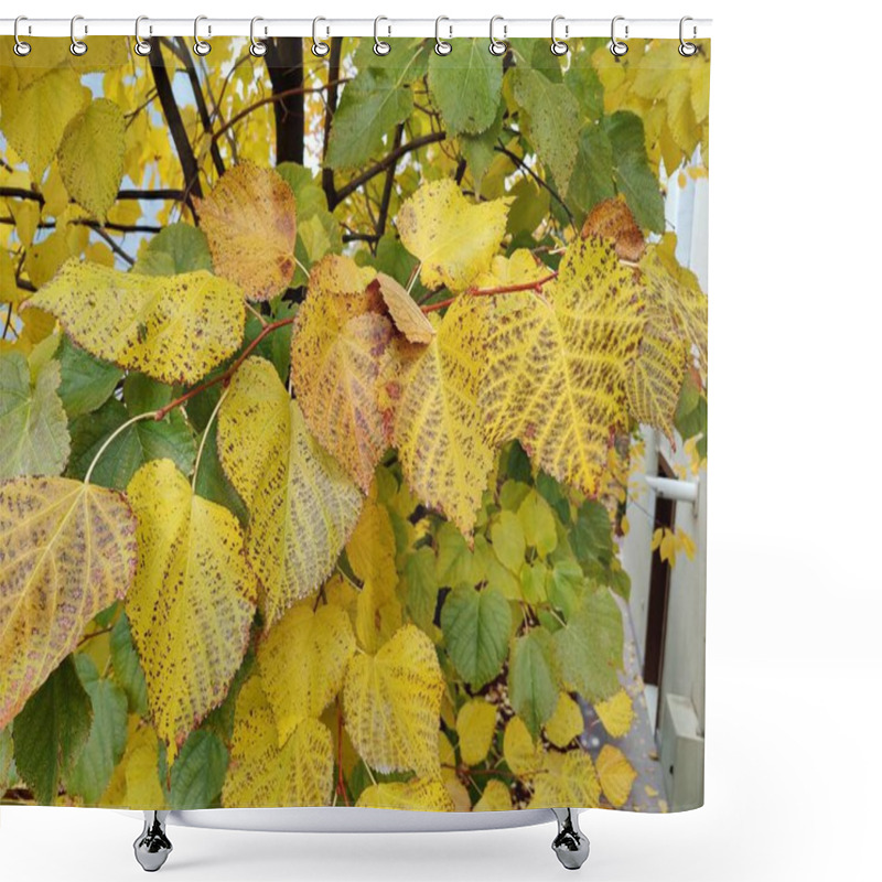 Personality  Golden Autumn Leaves With Dark Speckles, Representing The Passage Of Time And Nature's Imperfections, As A Metaphor For Beauty In Flaws And Seasonal Transformation Amidst The Warm Glow Of Fall Shower Curtains