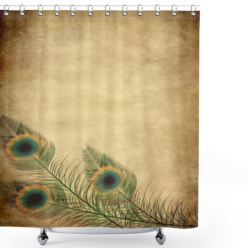 Personality  Old Paper With Feathers Shower Curtains