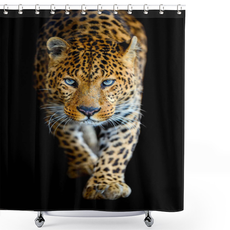 Personality  Close Up Beautiful Big Leopard Isolated On Black Background Shower Curtains