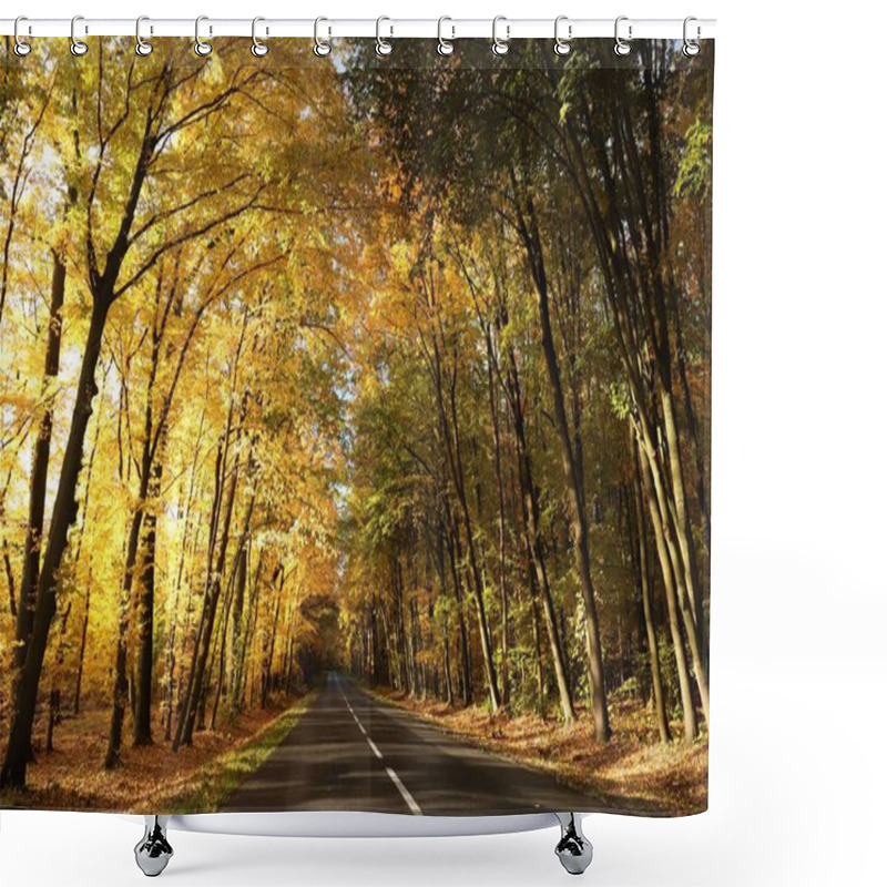 Personality  Country Road Among Oaks On A Sunny Autumn Morning Shower Curtains