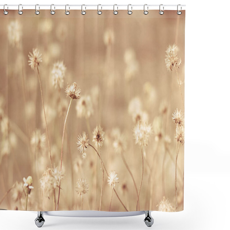 Personality  A Field Of Grass Flowers Light Up By A Sunset Golden Evening Light. An Inspirational Nature Image For Aesthetic Of Autumn And Fall Design. Autumn Nature In Pastel Earth Tone Blurred Background. Shower Curtains