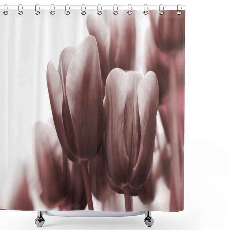 Personality  Monochrome Tulips Shower Curtains