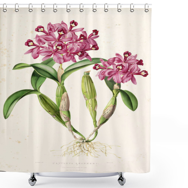 Personality  Illustration Of Flower. Old Image Shower Curtains