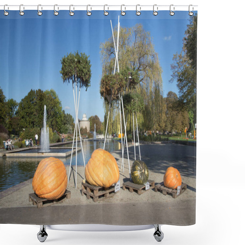 Personality  Samples Of Giant Pumpkins Shower Curtains