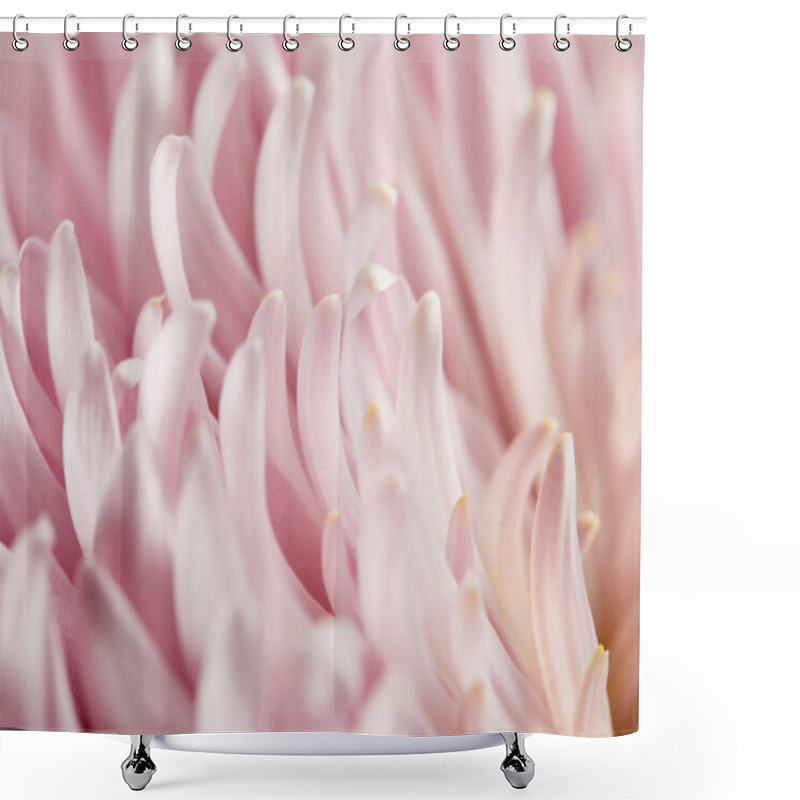 Personality  Close Up View Of Pink Chrysanthemum Petals Shower Curtains