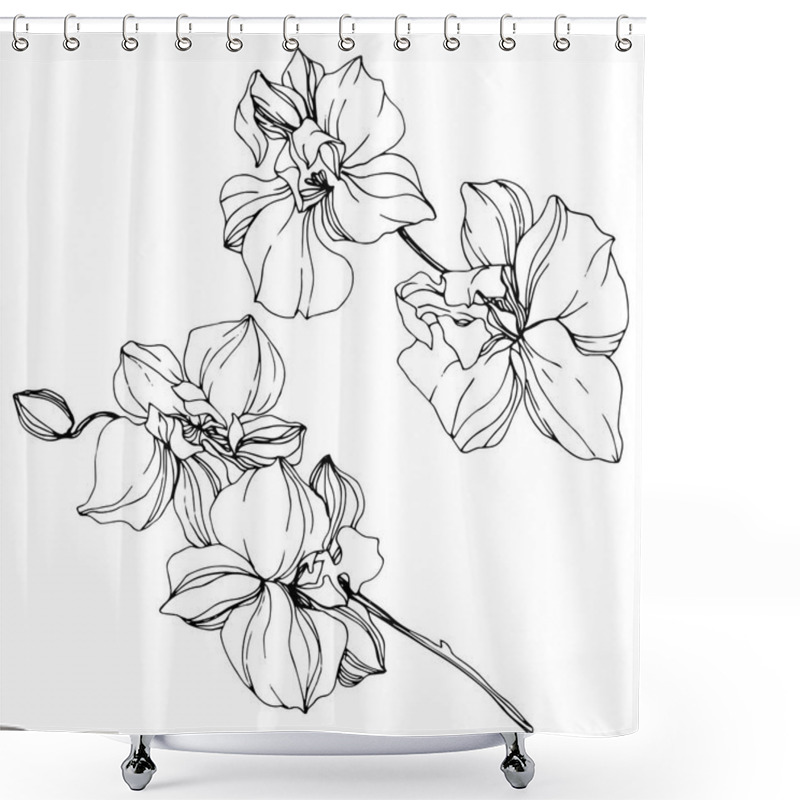 Personality  Beautiful Black And White Orchid Flowers Engraved Ink Art. Isolated Orchids Illustration Element On White Background. Shower Curtains