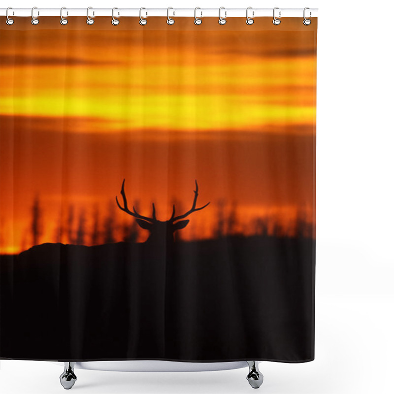 Personality  Bull Elk In Sunset Shower Curtains