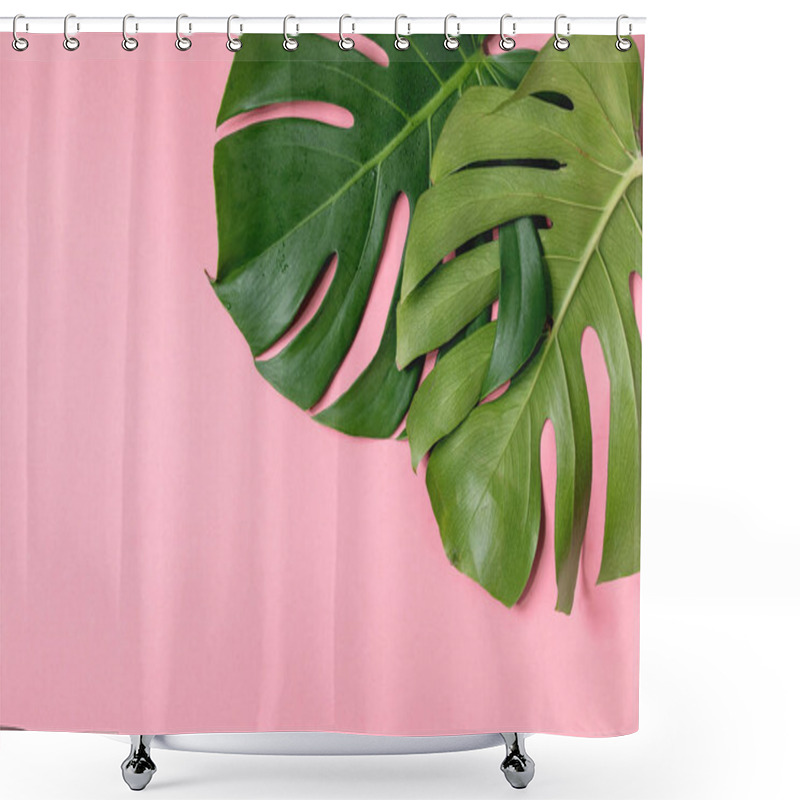 Personality  Tropical Jungle Monstera Leaf Shower Curtains